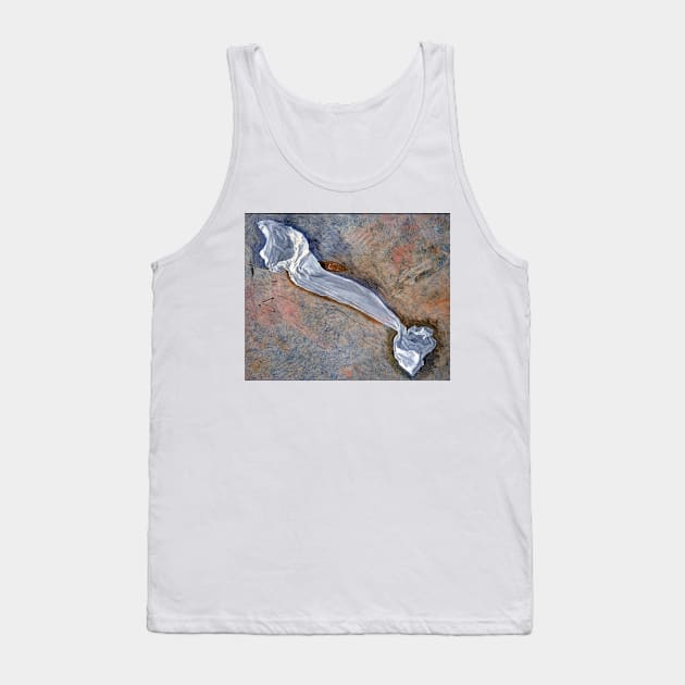 Kenyon Cox Study for Drapery of Pursuit of the Ideal Tank Top by pdpress